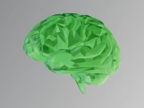 a green brain on a grey background