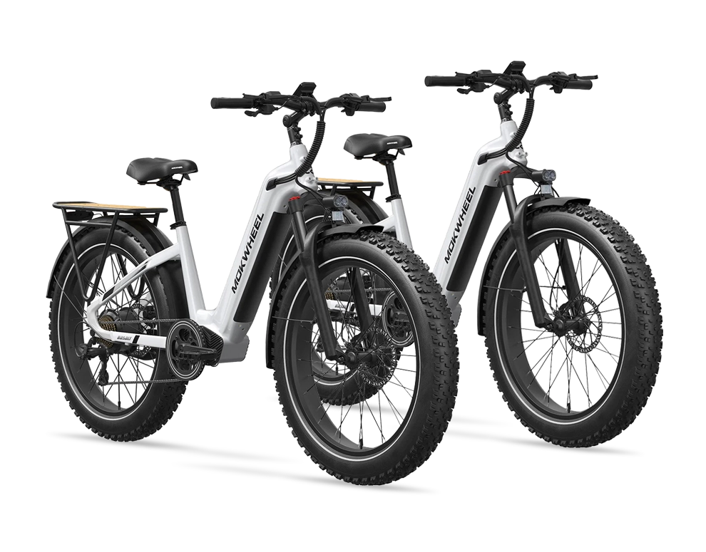 Visit the Airway Heights Branch to Win a BASALT ST eBIKE PACKAGE