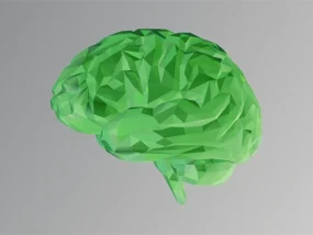 a green brain with on a grey background