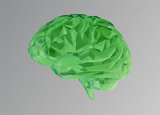 a green brain with on a grey background