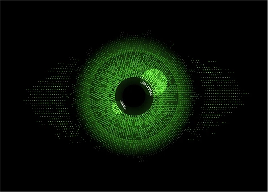 Binary codes forming an image of an eye